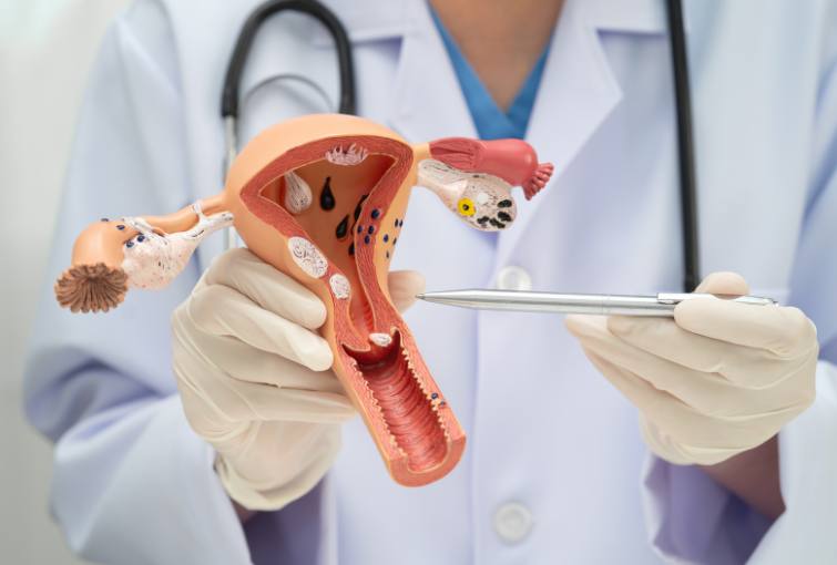 Gynecology